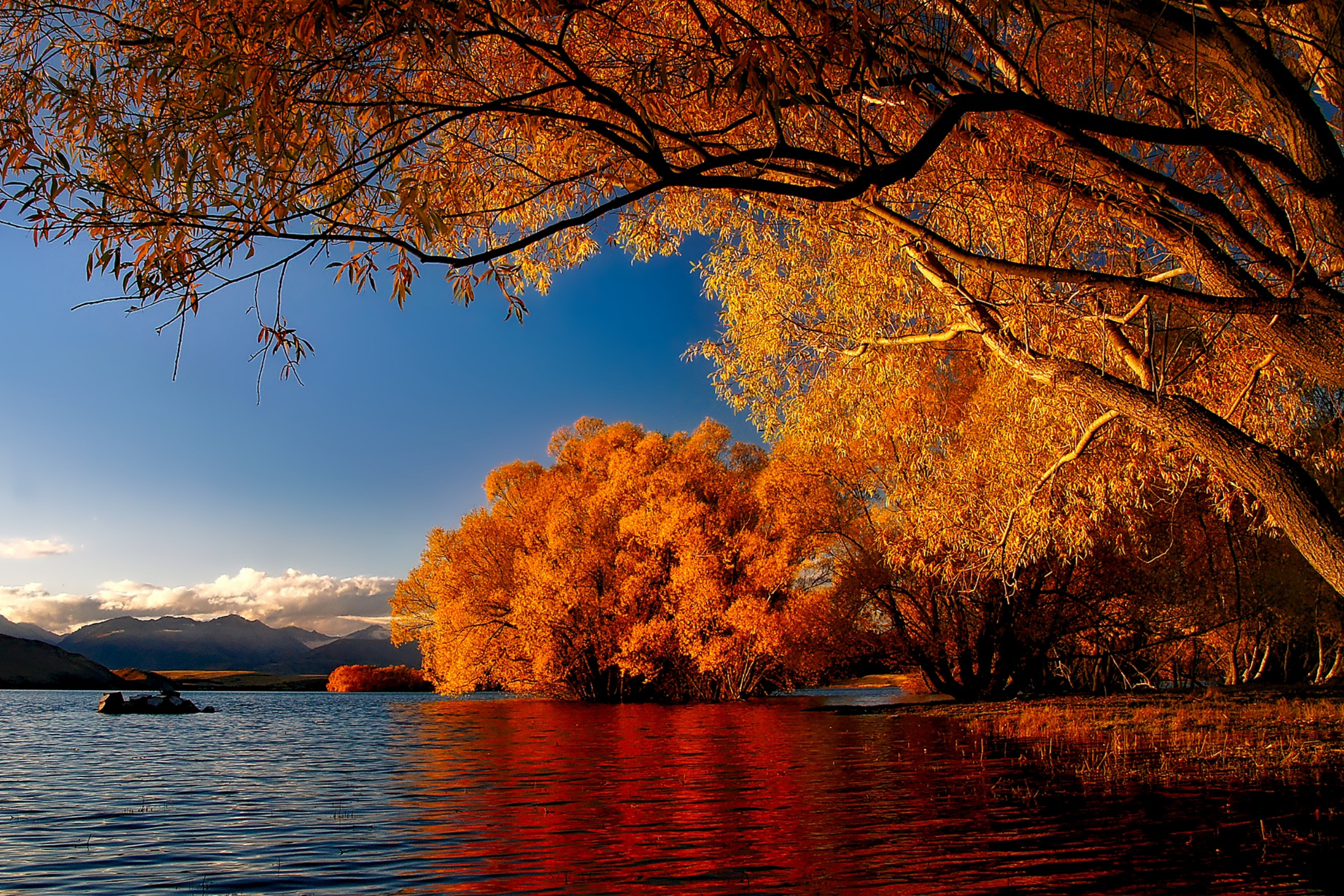 north conway, new hampshire (4).webp